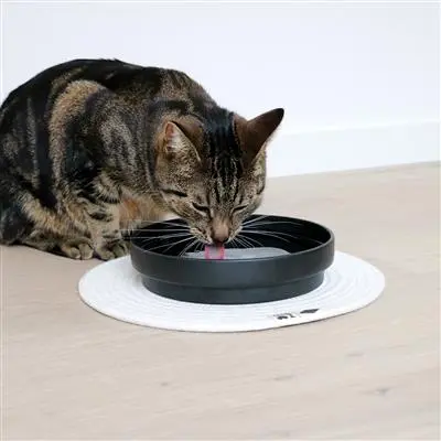 D&D CAT Keramisk Drikkeskål (L) ACE Ø20 cm. Sort
